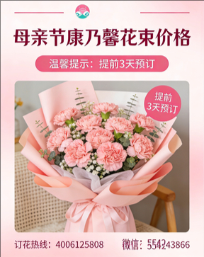 西昌花店母亲节康乃馨花束