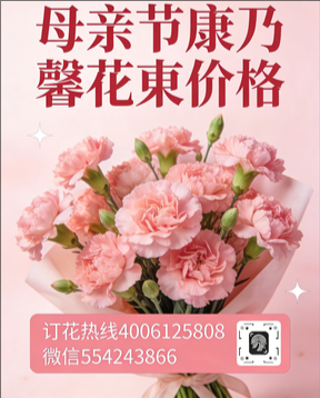 西昌花店母亲节康乃馨花束